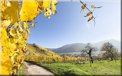 Herbstimpressionen